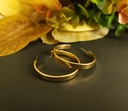 Swanky Large Gold Hoop Earrings