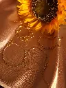20241101_172834.webp